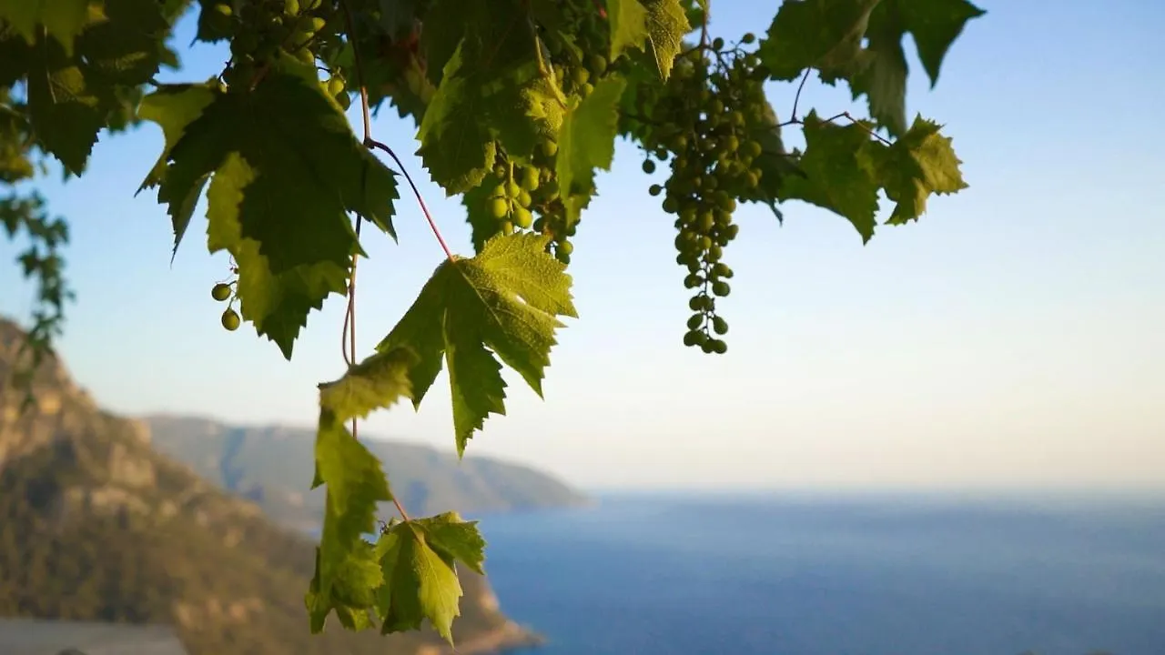 Kabak Mamma'S Pension Restaurant & Terrace Bar Fethiye Hotel